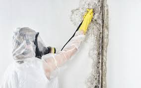 Best Biohazard Mold Removal  in Upper Exeter, PA